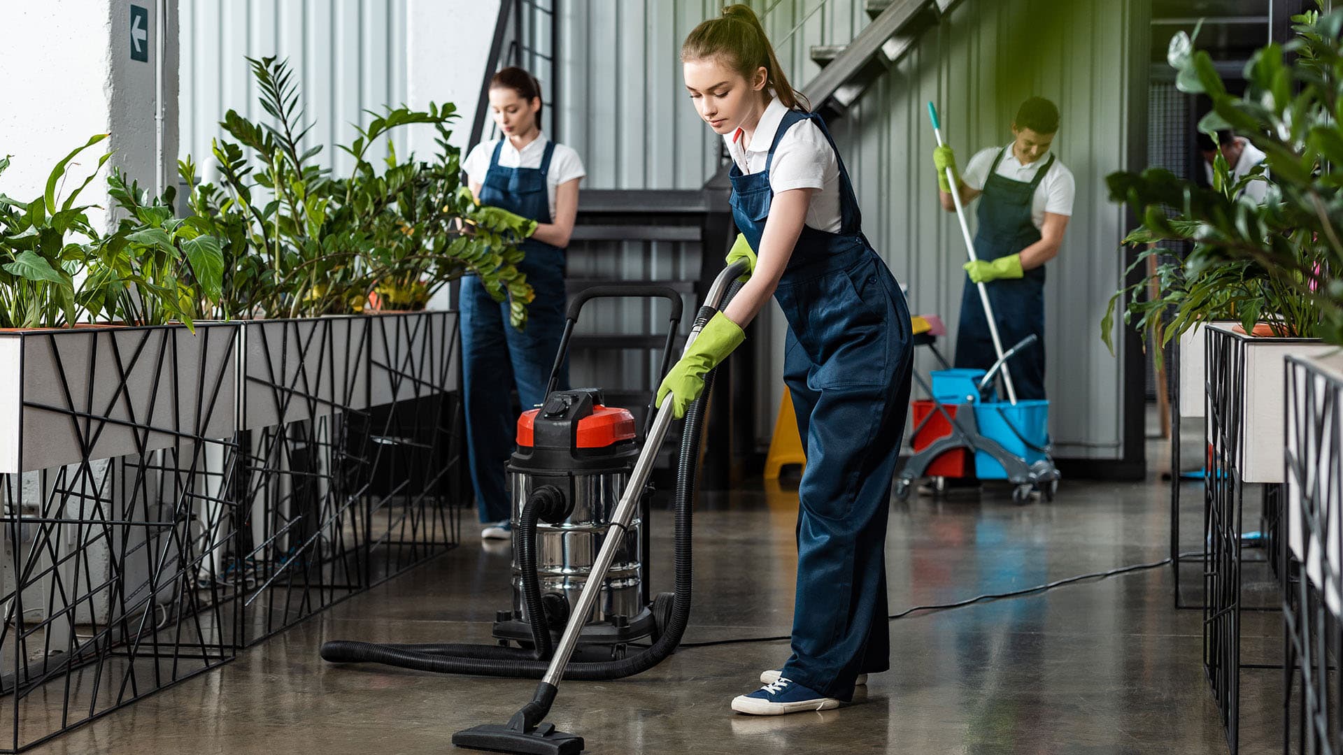 Deep Cleaning